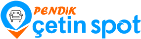 Pendik Spot Logo